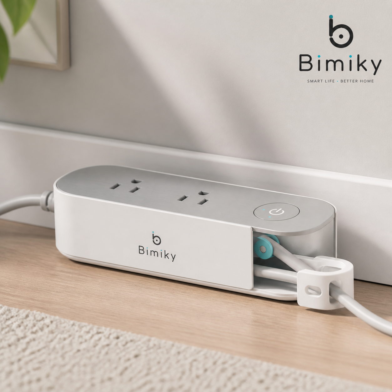 Bimiky™ HiddenLine Smart Outlet