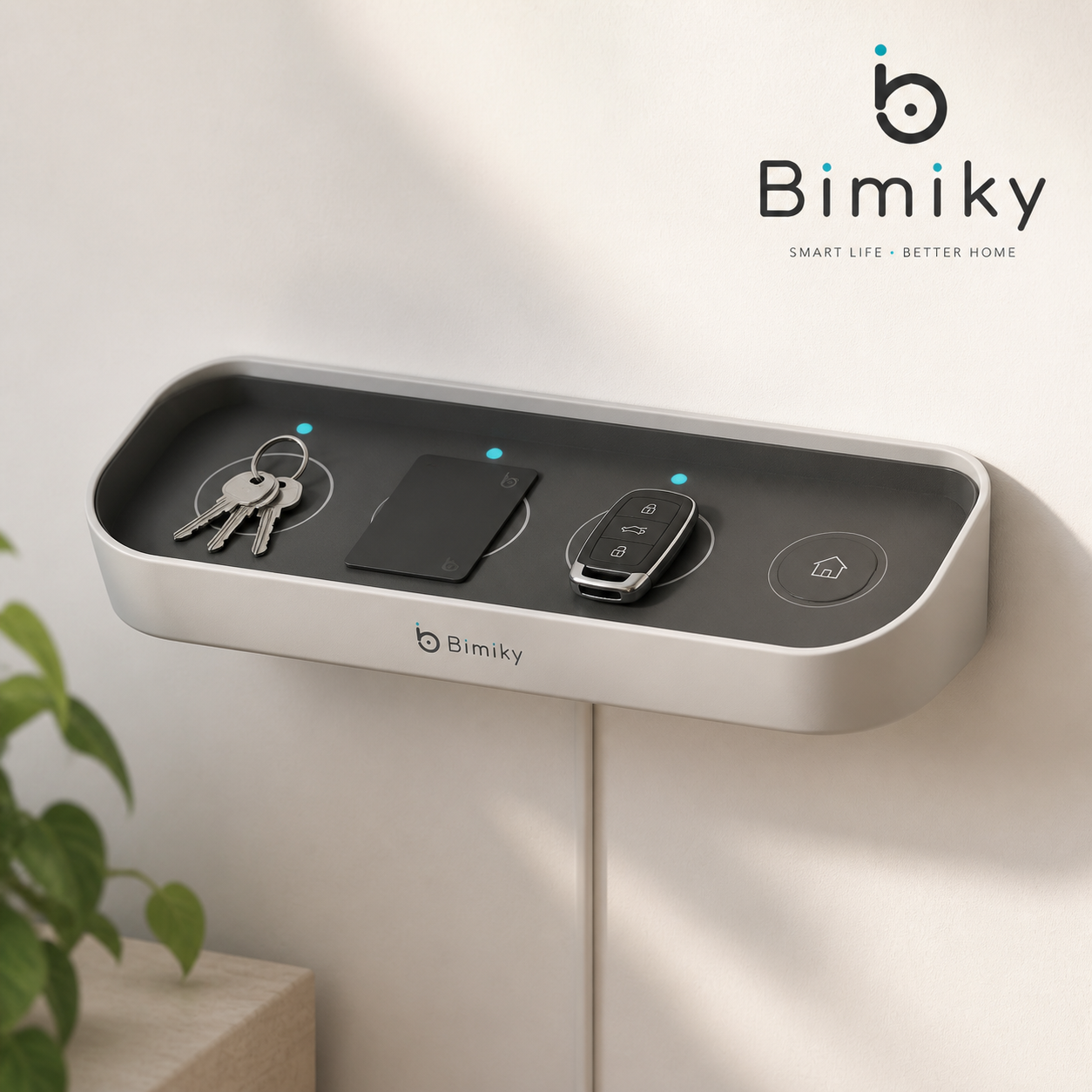 Bimiky™ EntryKey Return Station